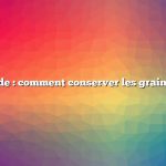 Réponse rapide : comment conserver les graines d’épinards